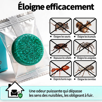 Puissant Répulsif Professionnel contre les rongeurs - Action rapide pour une utilisation intérieure et extérieure