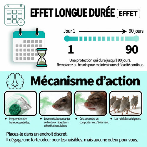 Puissant Répulsif Professionnel contre les rongeurs - Action rapide pour une utilisation intérieure et extérieure