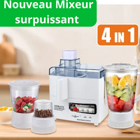 Mixeur - Moulinex 4 en 1 ( mixeur tomate - mixeur fruit - mixeur à sec - hachoir )