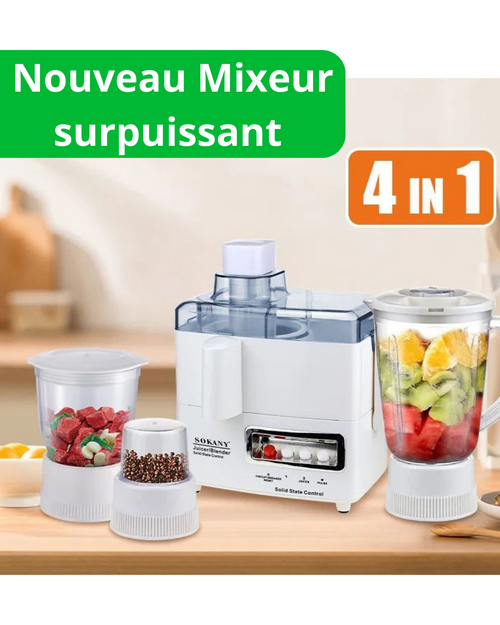 Mixeur - Moulinex 4 en 1 ( mixeur tomate - mixeur fruit - mixeur à sec - hachoir )