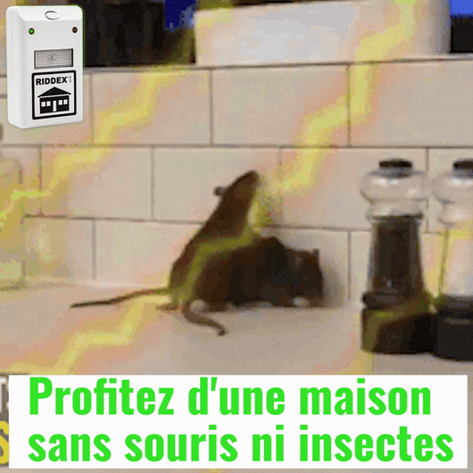 Riddex Plus : Répulsifs  contre souris, rats ,  insectes ,  cafards  et  Rongeurs